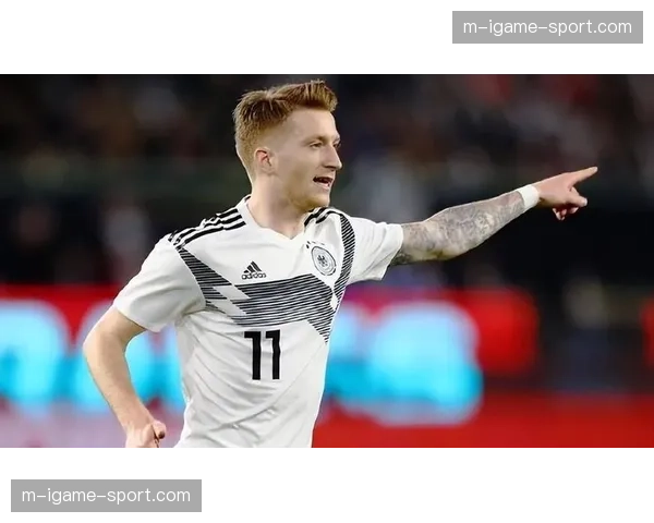 特写镜头：老将罗伊斯替补登场，在威斯特法伦接受全场球迷起立致敬