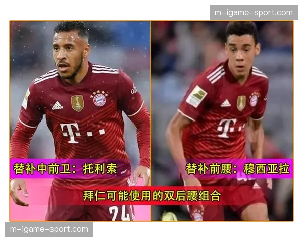 定位球分析软件在德甲俱乐部的应用与效果评估